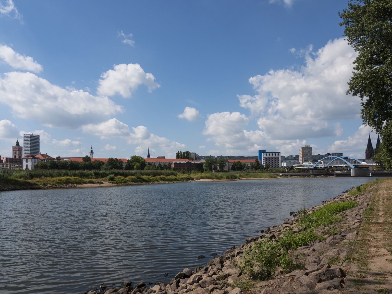 Frankfurt-Skyline mit Oderturm